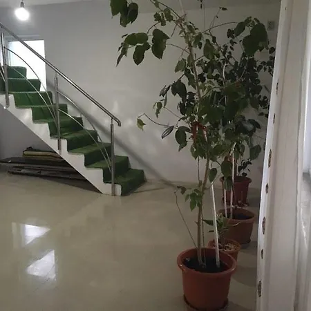 ゲストハウス Vila Emy *
